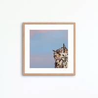 Owl Bird Art Print