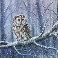 Tawny owl winter scene Original watercolour painting snow landscape bird