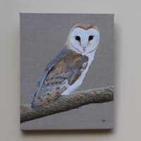 Original Barn owl oil painting