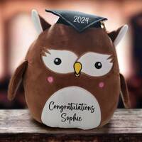 Personalised Graduation Gift Owl Squidgy Soft Toy Cuddly Plush Birthday Present Student Exams Congra