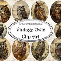 Vintage Owls Clip Art, PNG Files, Transparent PNG, Clipart Graphics, Digital Scrapbooking, Junk Jour