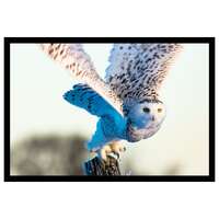 Owl, Owl Canvas, Snowy Owl, Owl Art, Limited Edition, Owl Gift, Owl Wall Art, Cute Owl, Owl Bird, Be