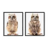 Baby Owl Wall Art, Nursery Wall Art, Baby Animal Prints, Nursery Wall Decor, Kids Wall Art, Kids Wal