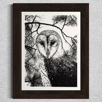 Barn Owl. Hand Drawn Pen and Ink Illustration.