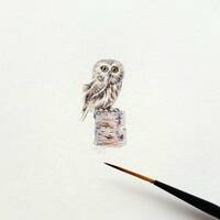 Saw-whet Owl mini art - miniature watercolor painting - tiny owl art - collectible small bird artwor