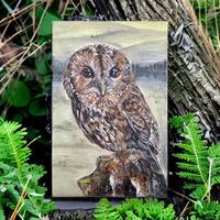 Little Owl Art Print| British Wildlife Art| Countryside Art| Brown Owl| Owl in Landscape| Owl Lovers