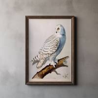 Vintage Audubon Snowy Owl Print, John James Audubon, Snowy Owl Wall Art, Birds of America, Vintage B