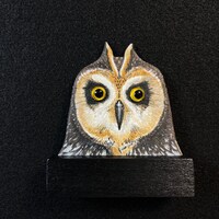 Short-eared Owl - Flat Display Wooden Head Carving
