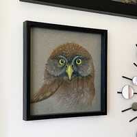 Original Western Pygmy Owl Colored Pencil Illustration - 8x8 Owl Wall Art