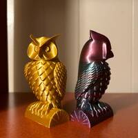 Beautiful Owl Decoration