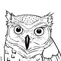 Owl Coloring Sheet, Horned Owl Coloring Page, Print Your Own
