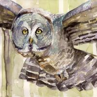 Owl Painting - Print from my Original Watercolor Painting, "The Solo Flyer", Great Horned 