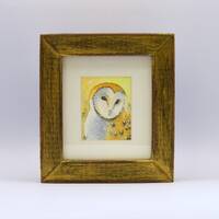 Barn Owl. A fantastic framed Ray Stephenson original watercolour painting.