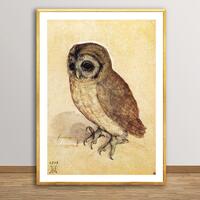 Little Owl by Albrecht Durer Fine Art Print, Animal Artwork, Renaissance Painting, Classical Artwork