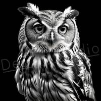 Artistic Owl PNG / PNG Laser Engraving file for slate / Digital Design / Wildlife / Animal Life / La