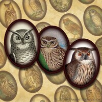 Victorian Owl Images Digital Collage Sheet- 18mm x 25mm cabochons-- Instant Download