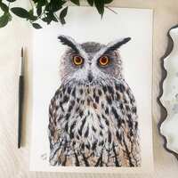 Eagle Owl Original Watercolor Painting. 9 x 12 Unframed Wildlife Bird Painting.