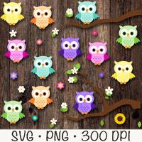 Owl Bundle Pack, Owl SVG, Owl PNG, Owl Clipart, Cute Owl, Daisy Flower, Sunflower, Branch, Digital D