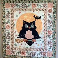 Custom Halloween Whimsy Owl Quilt Completed Finished Handmade Quilted Blanket Bats Stars Broomstick 