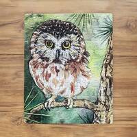 Saw-whet owl puzzle, saw whet owl gift, homemade owl puzzle, bird puzzle, 8x10 puzzle, cute owl puzz