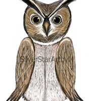 Horned Owl