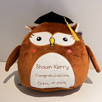 Personalised End of School Year/ Teacher gift Cuddly Wise Owl. Embroidered Graduation Owl Gift. Free
