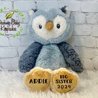 Personalized Big Sister Owl Stuffed Animal, Gift For Sibling, Big Sister Gift From Baby, Custom Owl 