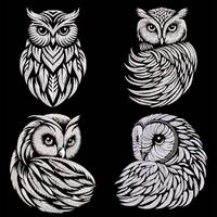 Elegant Mystic Owl Embroidery Designs Bundle, Wisdom Emblem for Dark Fabrics, Black & White Whim