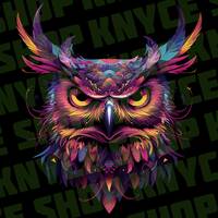 5 Abstract Psychedelic Owl Sublimation PNGs | Digital Download | Tumbler Sublimation | Owl SVGs | Co