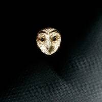 custom handmade adjustable owl finger ring, barn owl finger ring, hand painted finger ring, unisex p