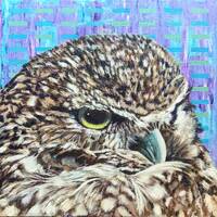 Introverted burrowing owl, an original acrylic painting by Canadian artist Brian Longfield