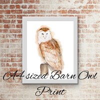 Barn Owl Print, British Wildlife Wall Art , A4, Home Decor, Barn Owl Picture