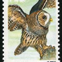Five 5 Barred Owl 15c stamps // vintage unused 15 cent postage stamp // face value 0.75