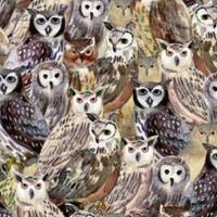 New! "Wild Wonder" Packed Owls, Owl, Bird Fabric! 100% Cotton. 1/4, 1/2, or 1 yd x 44"