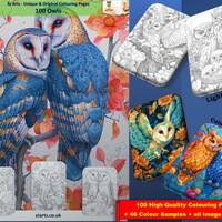 Owls, 100 Pages + 46 Colour Samples + ALL picture png's; Coloring Page eBook