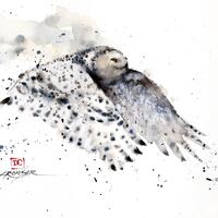 SNOWY OWL Watercolor Wildlife Bird Print by Dean Crouser