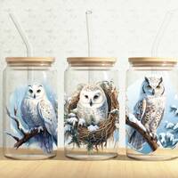White Owls Glass Can Wrap, Owls 16oz Glass Can, Winter Snow Owl 16oz Libbey Glass Cup Tumbler Wrap,