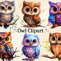 Watercolor Owl Clipart: 16 Colorful PNG Images (Commercial Use)