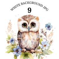 Woodland Owl Clipart Bundle, High Quality JPGs, Nursery Owl Clipart, Forest Animal Clipart, Bird Cli