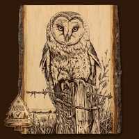 Barn Owl Laser Engraving: Wildlife Art PNG (Digital Download)