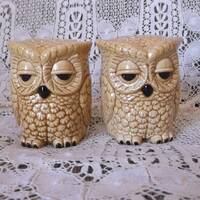 Owl salt pepper shaker set vintage