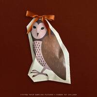Owl - paper gift pouch, money envelope that doubles as greeting card for kids birthday, thank you, h