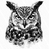 Owl SVG | PNG JPG | Great Horned Owl | Owl Portrait | Instant file download | Owl Art | Sublimation 