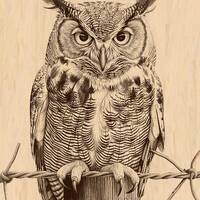 Laser Burn PNG | Owl | Bird | Engrave | Laser Ready | Digital Design File | horned Owl | wildlife