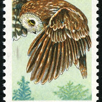 Five Vintage Saw-Whet Owl 15 Cent Stamps - Unused Postage - face value 0.75