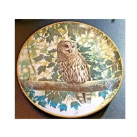 Vintage Limited Edition Danbury Mint Shady Retreat Owl Bird of Prey Plate From The Owls of North Ame