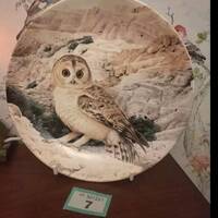 Wedgewood plate the Majesty of Owls