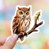 Owl Sticker Bird Sticker Laptop Sticker Water Bottle Sticker Colorful Sticker Brown Owl Exotic Stick