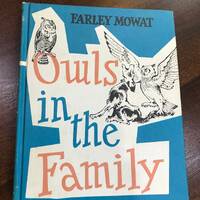 Farley Mowat's Owls in the Family Story Book Illustrated by Robert Frankenberg 1961 Vintage Chil