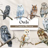Watercolor Owls  | Clipart | Digital Download | Commercial Use